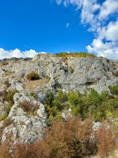 Светлые скалы над кустарником
